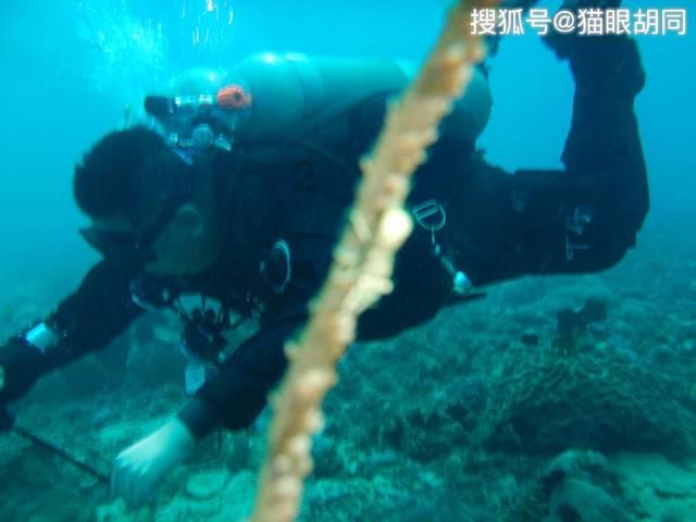 金华一隔离酒店改成抗阳酒店后几乎住满，该酒店是如何管理的呢？游戏画面
