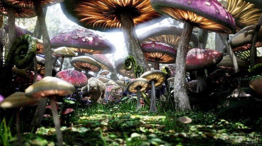 提价破局,牛栏山如何攥住百亿入场券?